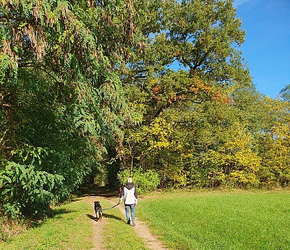 Circuit randonnée : de l'arboretum.