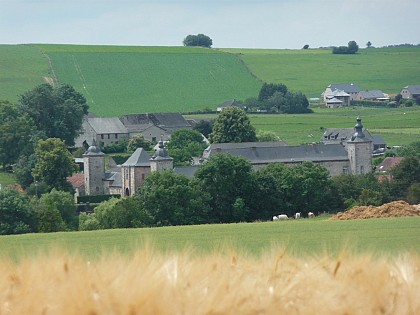 Along the banks of the river Molignée (Dinant)