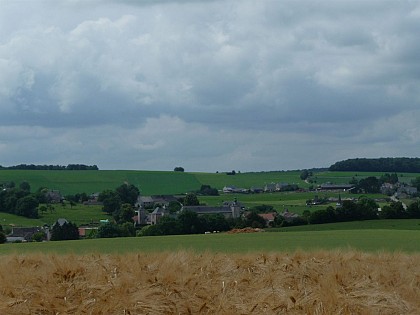 Au fil de la Molignée (Dinant)