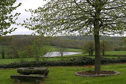 Le sentier du Tilleul