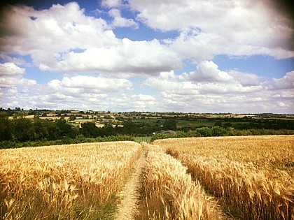 Rando BEAUBEC LA ROSIERE : Nos villages typiques du Pays de Bray- Normandie