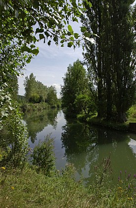 Les méandres de la Serre