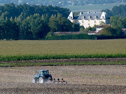 Circuit VTC N°2 - "Prunelas - Salignac"