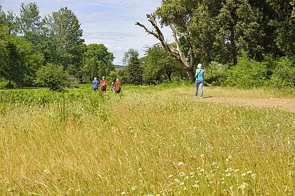 Sentier de la Mole à Cogolin en passant par La Patronne et Le Val d’Astier