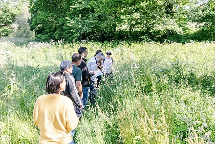 Plélan autrefois n°150