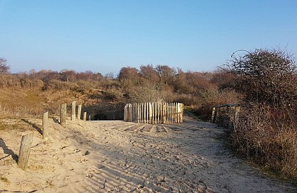 La Dune de l'Authie