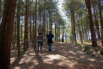 La Dune du Royon