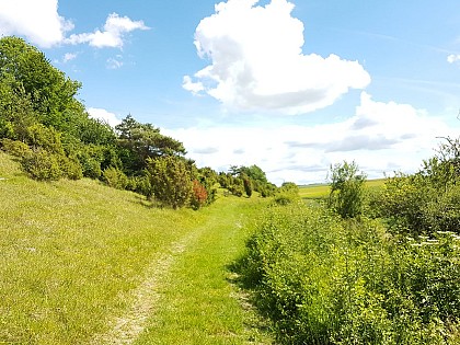 La montagne de Montenoy