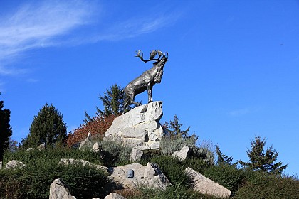 Le circuit du Caribou