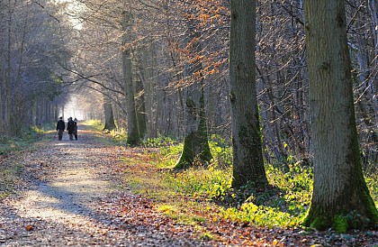 Le Parcours du Chevreuil