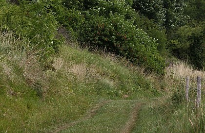 Le passage aux loups