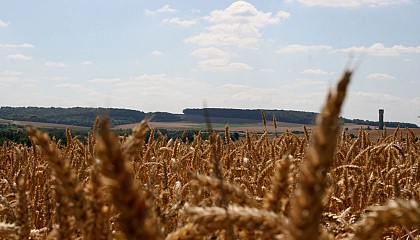 Le Val de Noye - Boucle A (Sud)