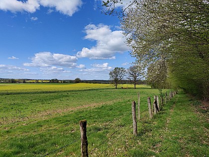 Circuit VTT du Bazois : entre bocage et Bois de Dély