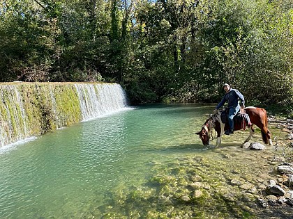 Tour Berg & Coiron à Cheval St Maurice d'Ibie - Alba