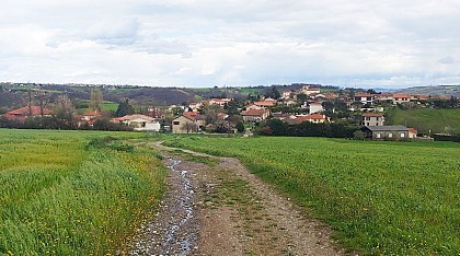 Tartaras - Ballade champêtre à Murigneux