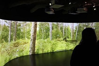 Le chemin des Louvetiers