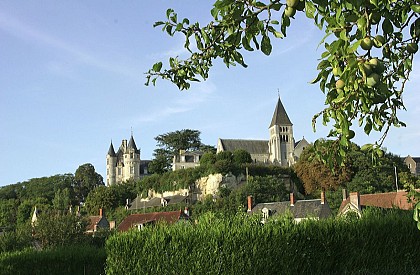 Chemin des vignes - Châteauvieux