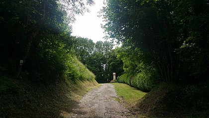 Grande Traversée Argonne 2024 partie Meuse