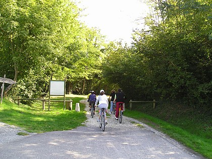 Circuit 2 - Les Vergers (Centre VTT-FFC de l'Albanais)