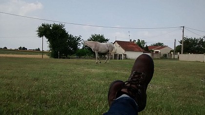 Symphonie de vert dans la campagne de Champagnoles