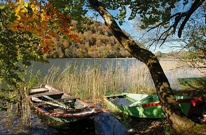 Tour du lac de Bonlieu