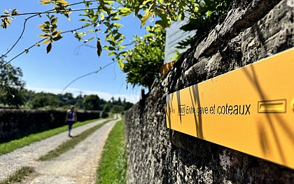 N°93 - Entre gave et coteaux