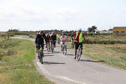 route des huitres et petit village oleronais