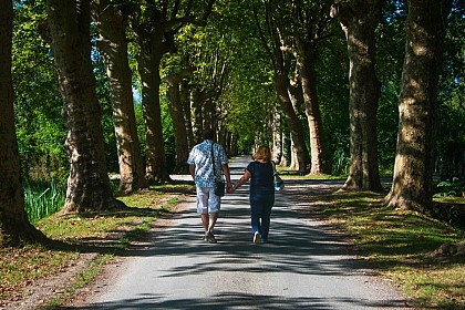 Rando Nounous - La balade des lavoirs