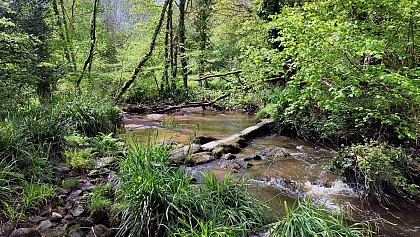 Boucle de Kerandouff | Le vieux marché