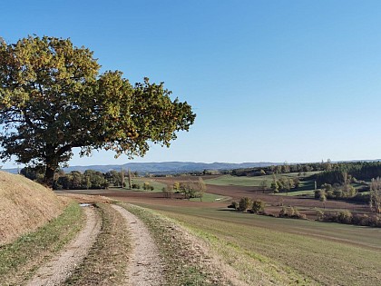 PR1 Caussade - Les vallons de la Bénèche