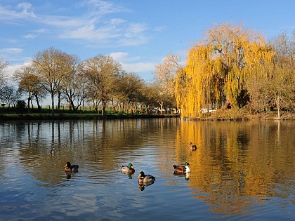 Circuit Genouillé les Marais