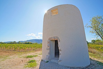 Sentier vigneron : Boucle des Moulins