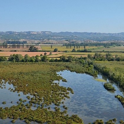 Alpilles, Crau et Camargue