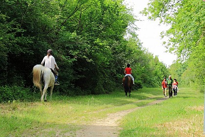 Route Européenne d'Artagnan