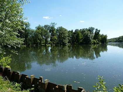 Along the Water's Edge