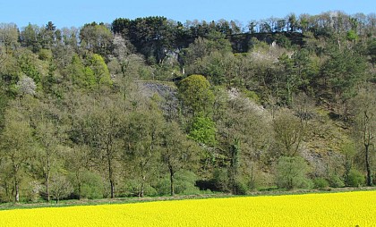 Saint-Goazec : Le Chemin des Ardoisières
