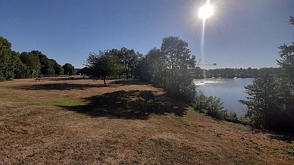 La forêt domaniale de Senonches