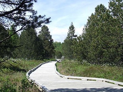 Tourbières de Frasne - Grand circuit par le parking des Tourbières