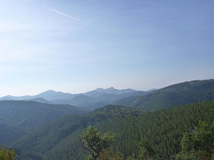 lac de Saint à Pegomas en passant par Auribeau