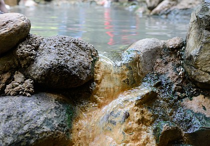 Les sources de la Dordogne