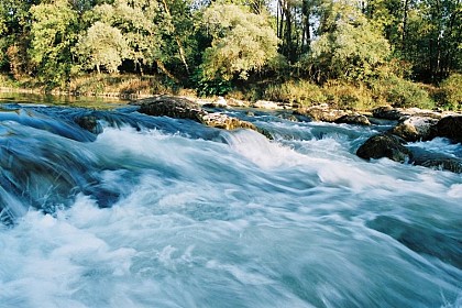 Faune et flore de la Loue