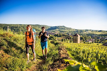 GR 59 de Dole à Saint-Jean-d'Étreux