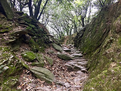 ESPACE TRAIL MONTAGNES DU CAROUX - PARCOURS 5 - LES GORGES D'HERIC