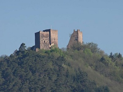 Eguisheim : Vignoble  et  Châteaux
