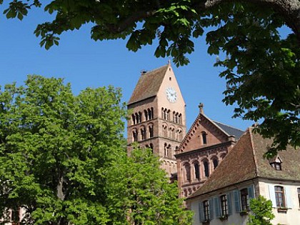 Gueberschwihr : La promenade du Grand Cru Goldert