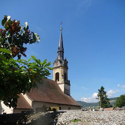 Hattstatt : Promenade du Grand Cru Hatschbourg