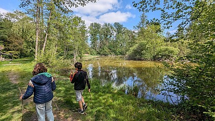 Discover the Domaine de la Solitude in Laon!
