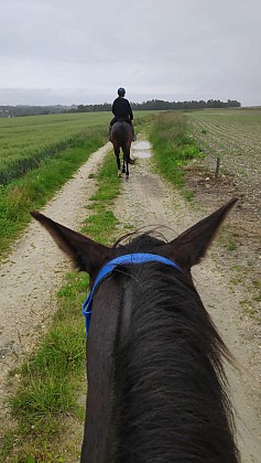 Balade du Centre « Les Petites Fontaines » aux alentours de Celles