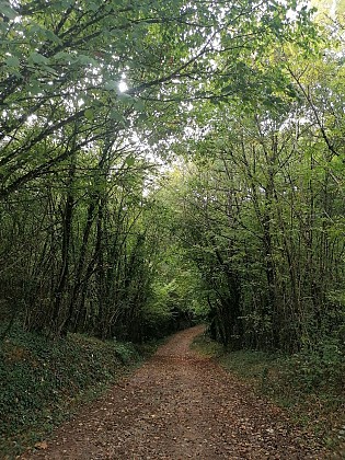 Le chemin des deux tilleuls à Rignac