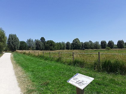 Sentier du plan d'eau de Barjouville